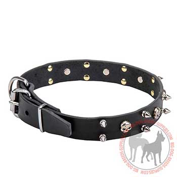 Black Leather Collar with Skulls