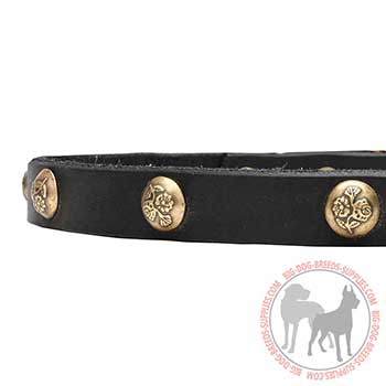 Leather Collar for Canine Trendy Walking