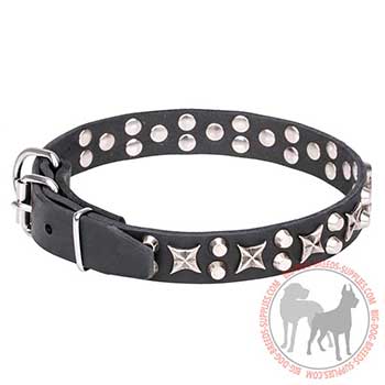 Leather Dog Collar with Riveted Decorations