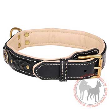 Reliable Leather Collar with Strong Hardware