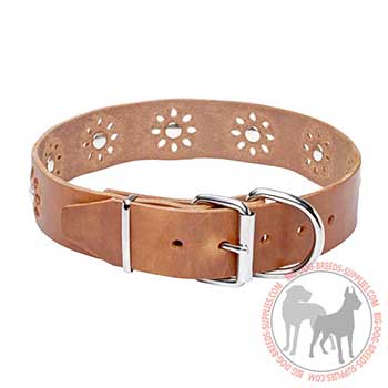Tan Dog Collar of Leather