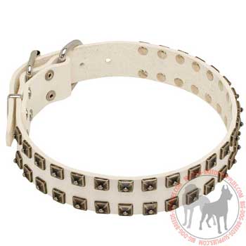 Dog Leather Collar with Riveted Studs