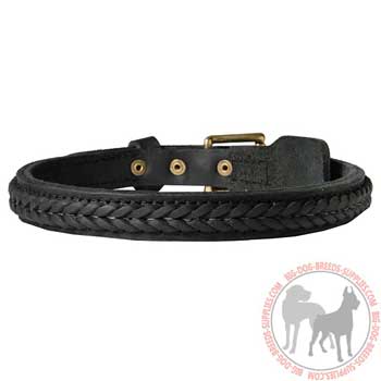 Leather Collar for Canine Training and Daily Walks