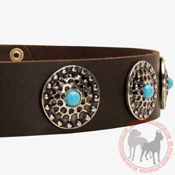 Stidded Leather Canine Collar