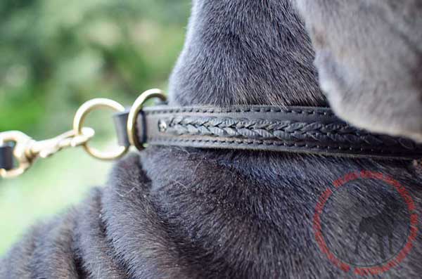 Choke Canine Collar Leather Made