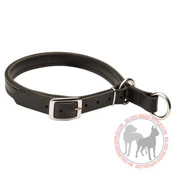 Leather choke dog collar for effective training