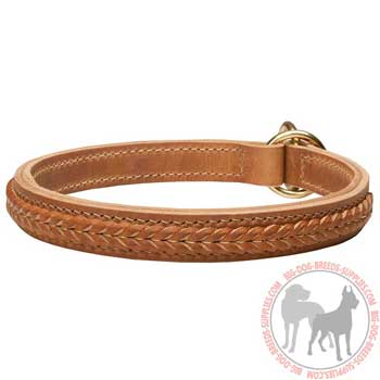 Durable Leather Choke Dog Collar for Training