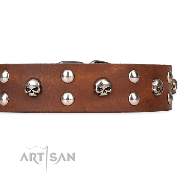 Full grain leather dog collar with smooth leather surface