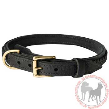 Leather Dog Collar with Stylish Braid