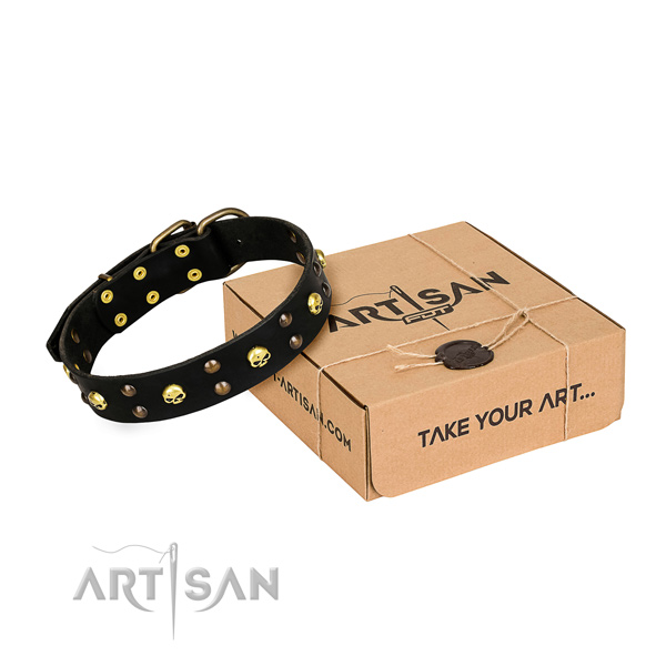 Reliable leather dog collar with reliable fittings