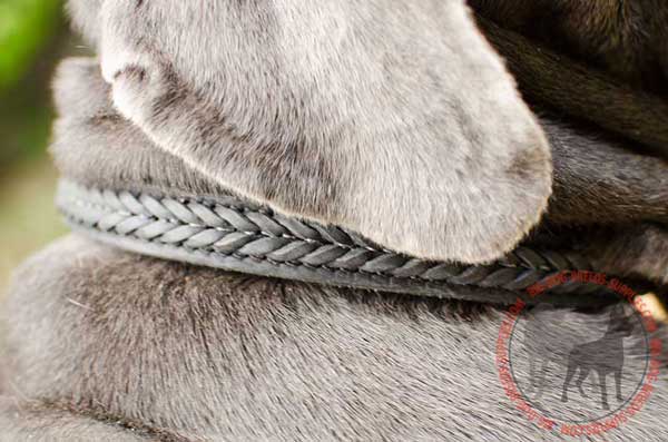 High Quality Leather Dog Collar 