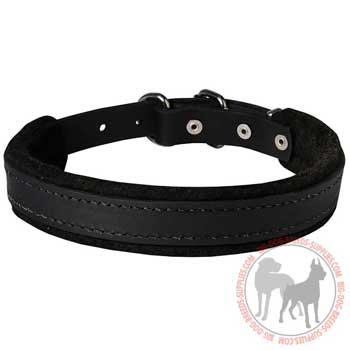 Leather dog collar for safe training and walking
