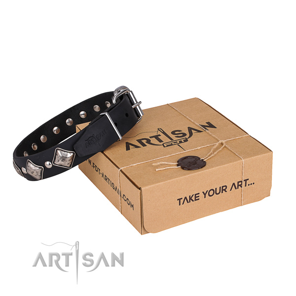Casual style leather dog collar with amazing decorations
