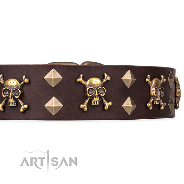 Best quality leather dog collar for stylish walks