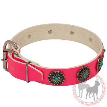 Fashion Leather Dog Collar
