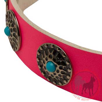 Leather Collar for Female Dogs