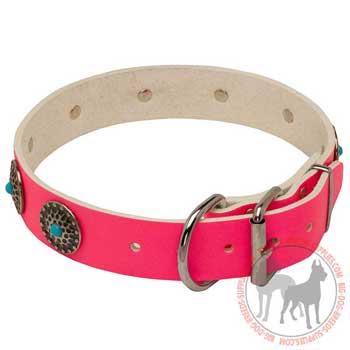 Leather Collar for Female Dogs