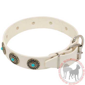 White Leather Collar with Studs