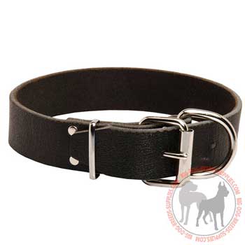 Dog collar leather secured with strong buckle