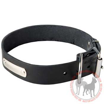 Dog Leather Collar with Identification Tag