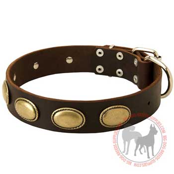 Leather Canine Gear