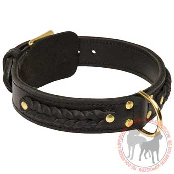 Leather Collar for Dog Walking