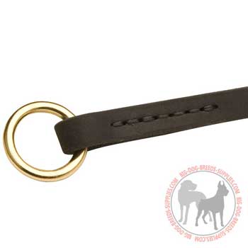 Silent choke collar equipped with brass rings