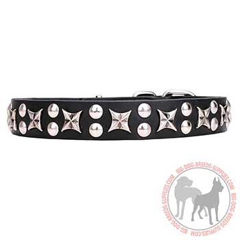 Leather Dog Collar - Luxury Walking Tool
