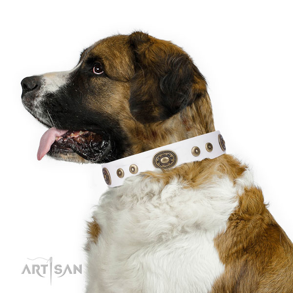 Designer embellished natural leather dog collar for daily walking