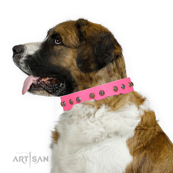 Fancy walking embellished dog collar made of quality leather