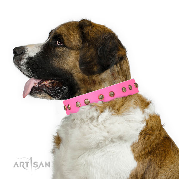 Fashionable embellishments on everyday walking genuine leather dog collar
