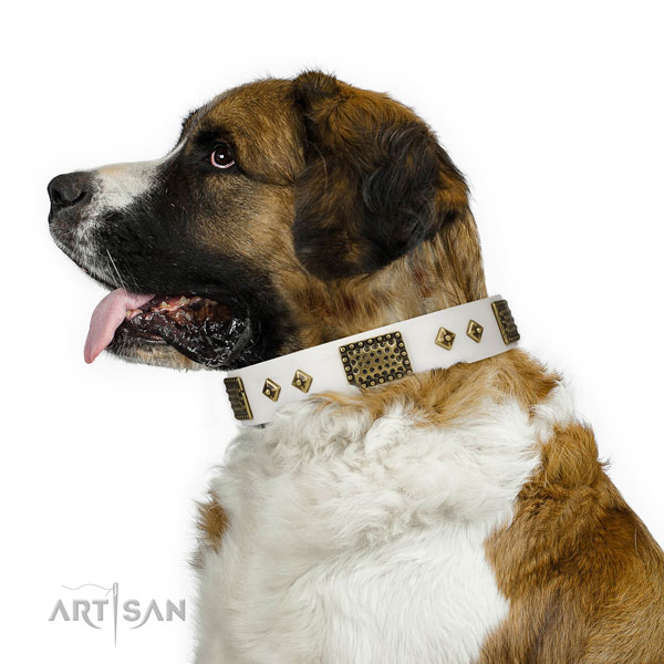 Everyday walking dog collar of natural leather with amazing studs