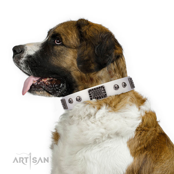 Convenient full grain natural leather collar for your stylish four-legged friend