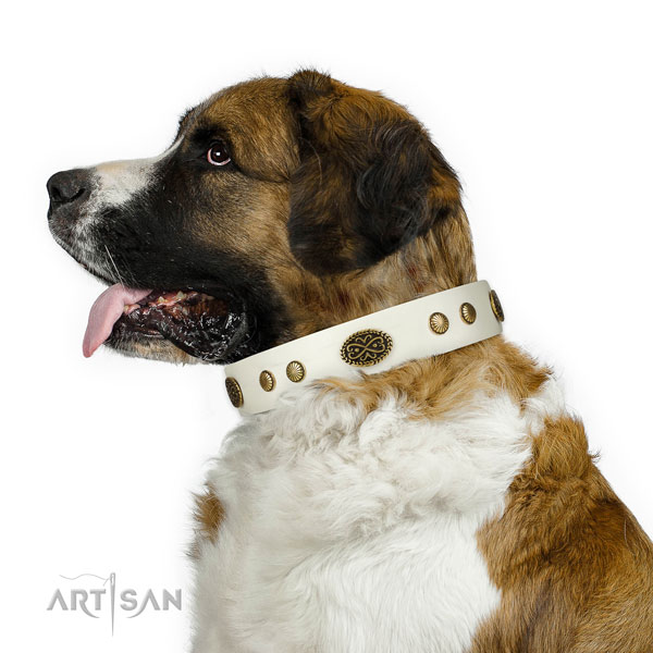 Rust resistant D-ring on full grain leather dog collar for walking