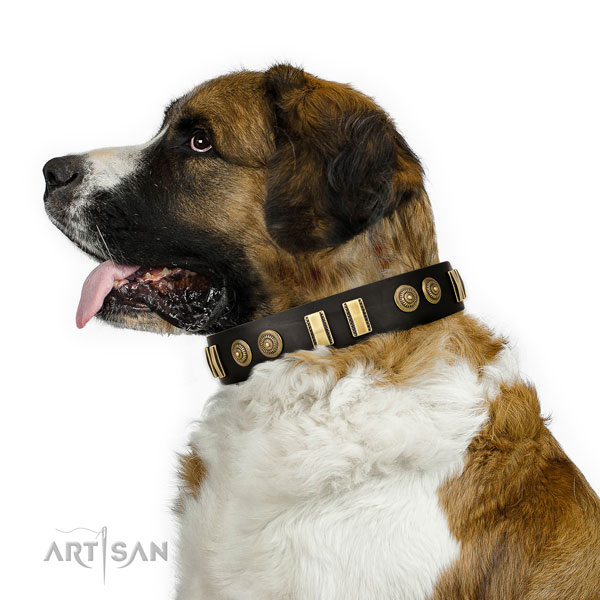 Corrosion resistant D-ring on genuine leather dog collar for daily walking