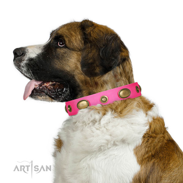 Comfortable wearing dog collar of genuine leather with inimitable adornments
