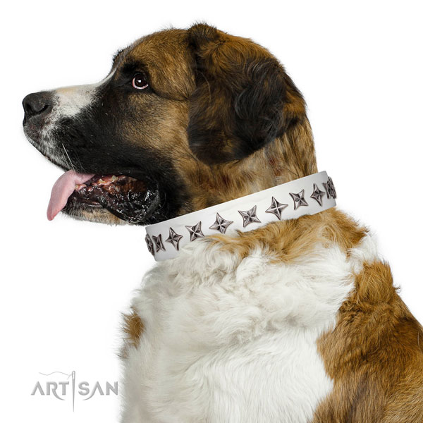 Finest quality full grain genuine leather dog collar with designer decorations
