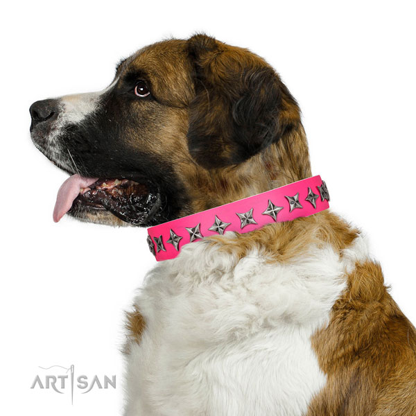 Fine quality full grain natural leather dog collar with inimitable decorations