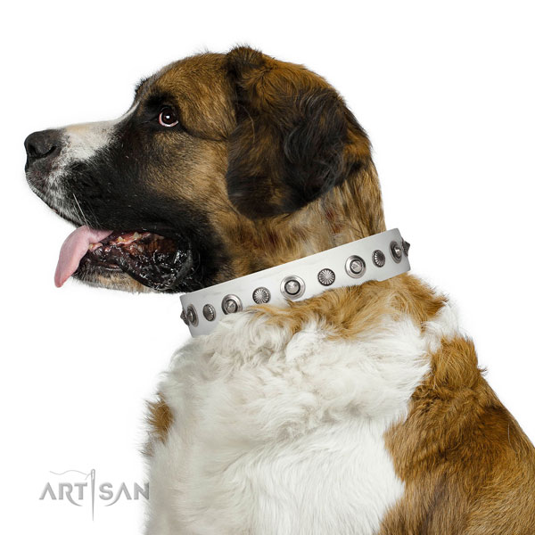 Genuine leather collar with rust resistant D-ring for your handsome dog