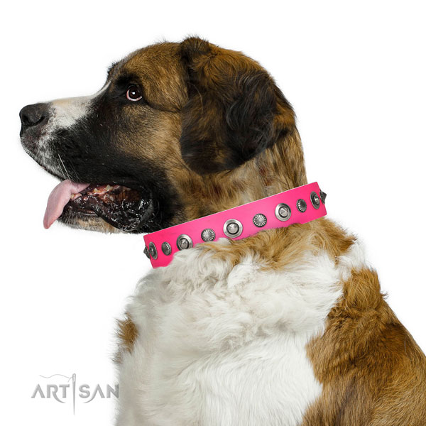 Full grain leather collar with reliable fittings for your handsome doggie