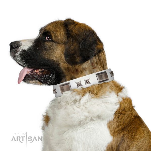 Easy to adjust collar of full grain leather for your handsome doggie