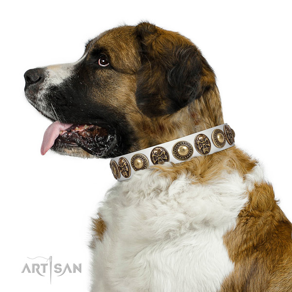 Convenient full grain natural leather collar for your stylish four-legged friend