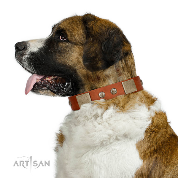 Impressive full grain natural leather collar for your lovely pet