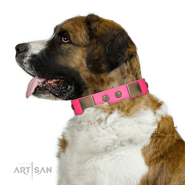 Rust-proof hardware on natural leather dog collar for daily walking