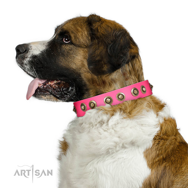 Leather collar with studs for your beautiful doggie
