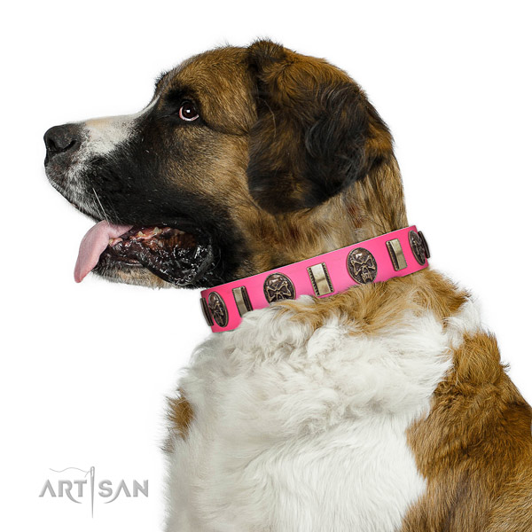 Rust resistant D-ring on full grain leather dog collar for walking