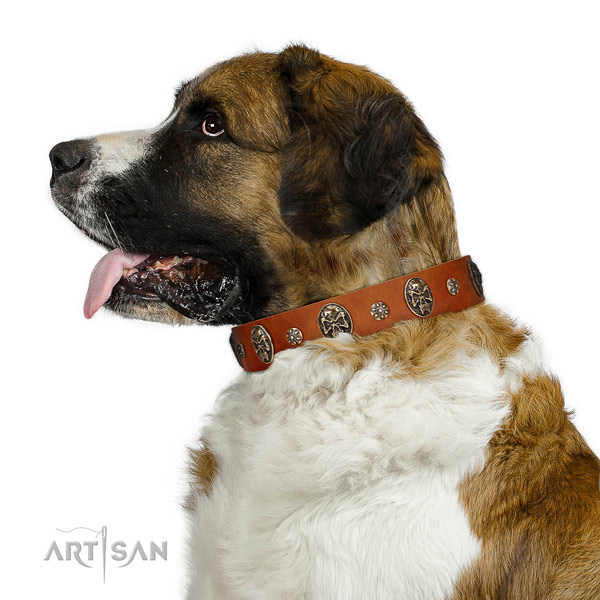 Comfortable wearing dog collar of genuine leather with unusual adornments