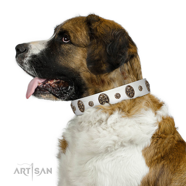 Daily walking dog collar of genuine leather with extraordinary studs