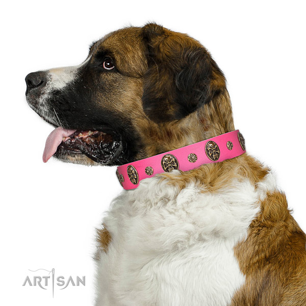 Embellished dog collar crafted for your stylish pet