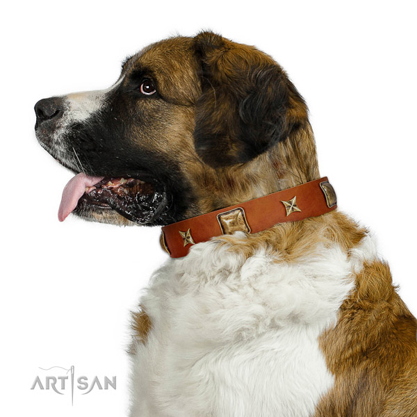 Decorated full grain genuine leather dog collar with embellishments